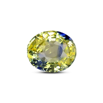 Category Bi-Color Sapphire