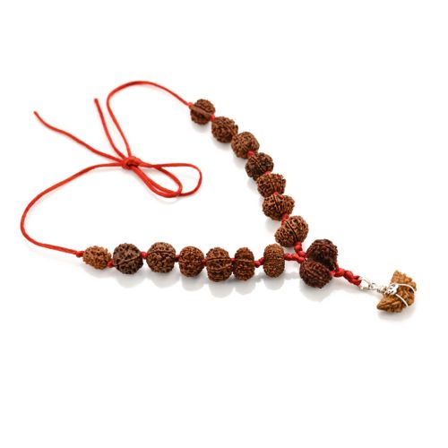 Rudraksha Siddha Mala 1 to 14 Mukhi With Gauri Shankar, Ganesh Rudraksha GJSPC Certified