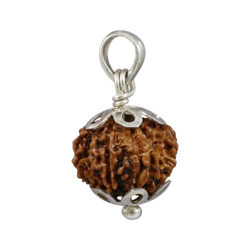 Natural Rudraksha 11 Mukhi Eleven Mukhi Sterling Silver Pendant 17.74 M.M.