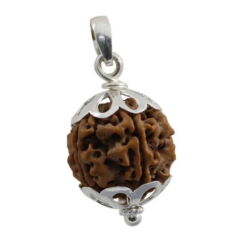 5 Mukhi Certified Rudraksha (Five Mukhi) With Sterling Silver 92.50 Pendant