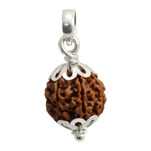 7 Mukhi(Sevan Mukhi) Rudraksha Certified With Sterling Silver (92.50) Pendant