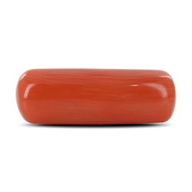 Red Coral (Moonga) - 5.79 Carat 