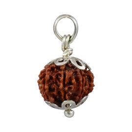 Natural Rudraksha 12 Mukhi Twelve Mukhi Sterling Silver Pendant 18.6 M.M.