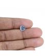 Blue Sapphire (Neelam) - 2.29 Carat