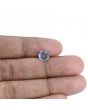 Blue Sapphire (Neelam) - 2.51 Carat