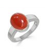 Coral (Special Quality) Silver Ring (R1)