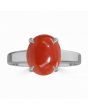 Coral (Special Quality) Silver Classic Solitaire Ring (R2)
