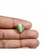 Quartz Cat's Eye (Lehsunia) Carat 9.68 
