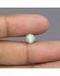 Chrysoberyl Cat`s Eye - 3.37 Carat 