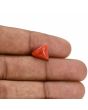 Red Coral (Moonga) Carat 3.3