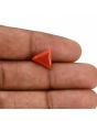 Red Coral (Moonga) Carat 3.59