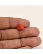 Red Coral (Moonga) Carat 3.33