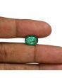 Zambian Emerald (Panna) - 4.75 Carat