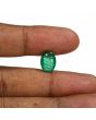 Zambian Emerald (Panna) - 4.75 Carat
