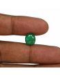 Zambian Emerald (Panna) - 3.8 Carat