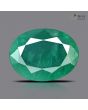 Zambian Emerald (Panna) - 6.44 Carat