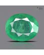 Zambian Emerald (Panna) - 11.53 Carat
