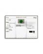 Zambian Emerald (Panna) - 11.53 Carat