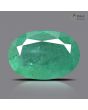 Zambian Emerald (Panna) - 8.38 Carat