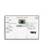 Zambian Emerald (Panna) - 10.71 Carat