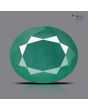 Zambian Emerald (Panna) - 9.19 Carat