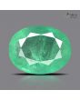 Zambian Emerald (Panna) - 10.35 Carat