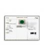 Zambian Emerald (Panna) - 5.87 Carat