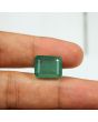 Zambian Emerald (Panna) - 12.49 Carat