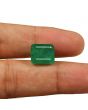 Zambian Emerald (Panna) - 9.56 Carat