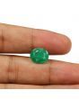 Zambian Emerald (Panna) - 4.43 Carat