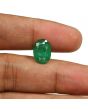 Zambian Emerald (Panna) - 4.69 Carat