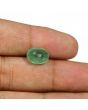 Zambian Emerald (Panna) - 4.59 Carat