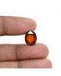 Hessonite (Gomed) 7.37 Carat 