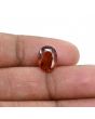 Hessonite (Gomed) 4.13 Carat 