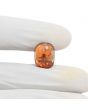 Hessonite (Gomed) 11.47 Carat 