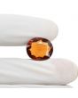 Hessonite (Gomed) 11.47 Carat 