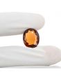 Hessonite (Gomed) 11.47 Carat 