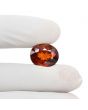Hessonite (Gomed) 12.64 Carat 