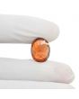 Hessonite (Gomed) 12.64 Carat 