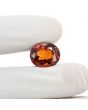 Hessonite (Gomed) 10.34 Carat 