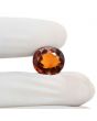 Hessonite (Gomed) 10.83 Carat 