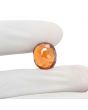 Hessonite (Gomed) 10.83 Carat 