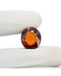 Hessonite (Gomed) 15.6 Carat 
