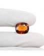 Hessonite (Gomed) 9.04 Carat 