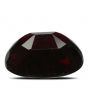 Red Garnet 8.22 Carat