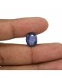 Iolite (Neeli) 5.16 Carat 