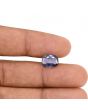 Iolite (Neeli) 2.56 Carat 