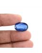 Blue Kyanite 16.8 Carat 