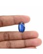 Blue Kyanite 12.72 Carat 