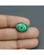 Malachite (Kidney Stone) 11.36 Carat 